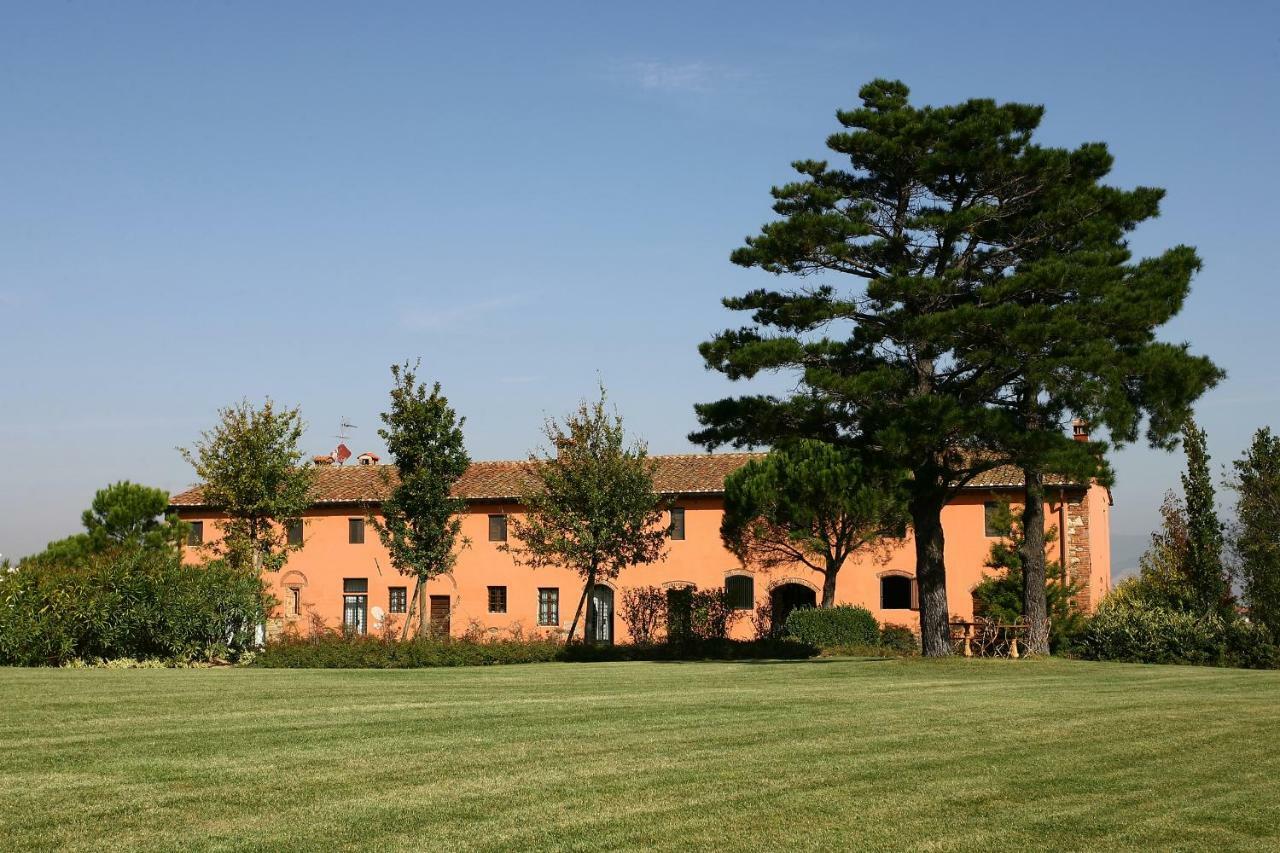 La Magnifica B&B Fauglia Bagian luar foto
