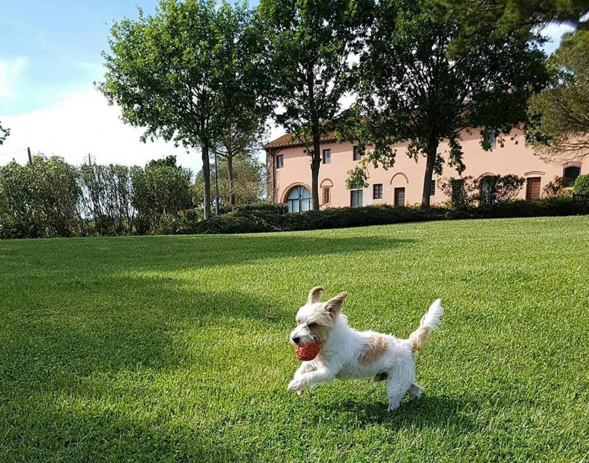 La Magnifica B&B Fauglia Bagian luar foto